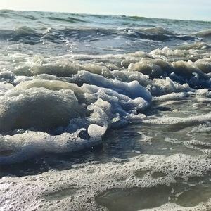 Meet your Posher, Jacqueline